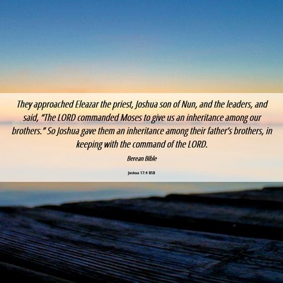 Picture 06 - Joshua 17:4 BSB - They approached Eleazar the priest, Joshua son of - Bible Verse Picture