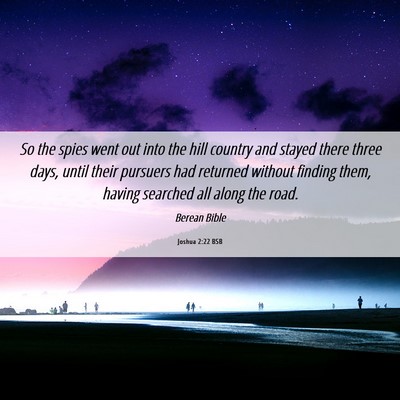 Picture 06 - Joshua 2:22 BSB - So the spies went out into the hill country and - Bible Verse Picture