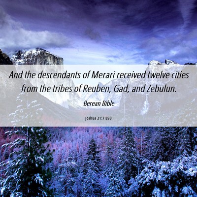 Picture 06 - Joshua 21:7 BSB - And the descendants of Merari received twelve - Bible Verse Picture
