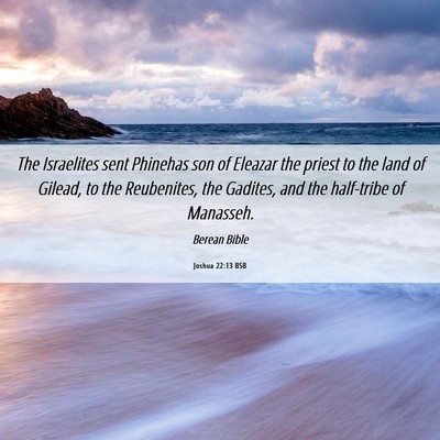Picture 06 - Joshua 22:13 BSB - The Israelites sent Phinehas son of Eleazar the - Bible Verse Picture