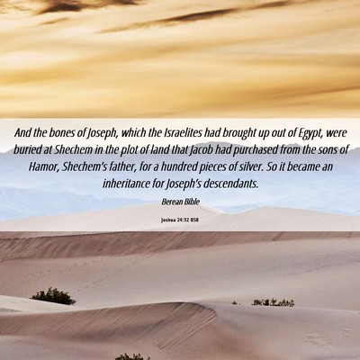 Picture 06 - Joshua 24:32 BSB - And the bones of Joseph, which the Israelites had - Bible Verse Picture