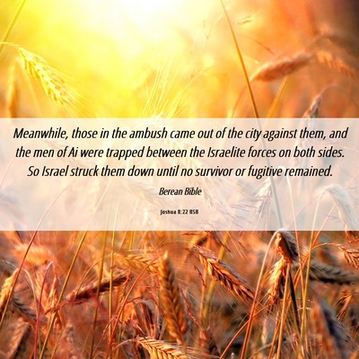 Picture 06 - Joshua 8:22 BSB - Meanwhile, those in the ambush came out of the - Bible Verse Picture