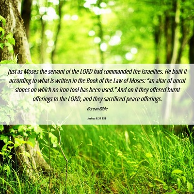 Picture 06 - Joshua 8:31 BSB - just as Moses the servant of the LORD had - Bible Verse Picture