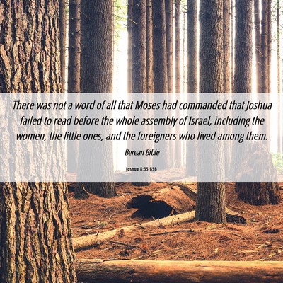 Picture 06 - Joshua 8:35 BSB - There was not a word of all that Moses had - Bible Verse Picture