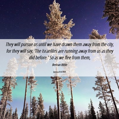 Picture 06 - Joshua 8:6 BSB - They will pursue us until we have drawn them away - Bible Verse Picture