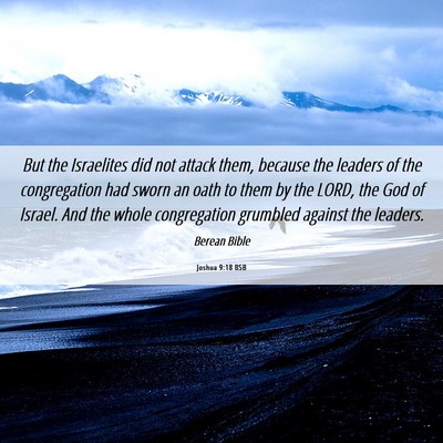 Picture 06 - Joshua 9:18 BSB - But the Israelites did not attack them, because - Bible Verse Picture