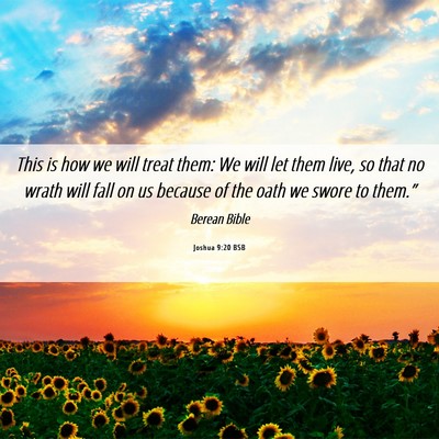 Picture 06 - Joshua 9:20 BSB - This is how we will treat them: We will let them - Bible Verse Picture