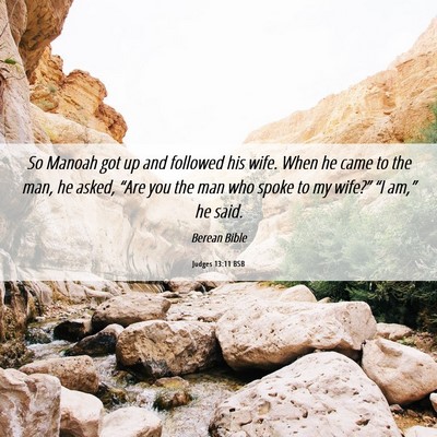 Picture 06 - Judges 13:11 BSB - So Manoah got up and followed his wife. When he - Bible Verse Picture
