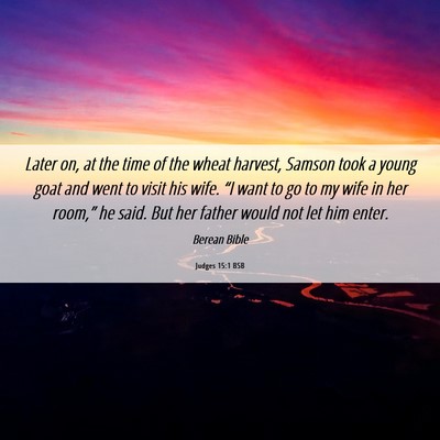 Picture 06 - Judges 15:1 BSB - Later on, at the time of the wheat harvest, - Bible Verse Picture