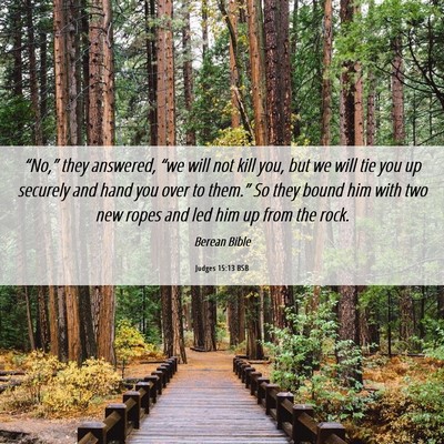 Picture 06 - Judges 15:13 BSB - “No,” they answered, “we will not kill you, - Bible Verse Picture
