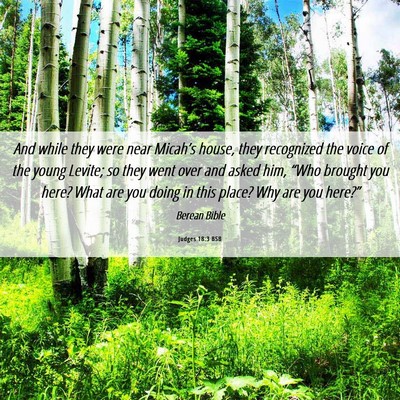 Picture 06 - Judges 18:3 BSB - And while they were near Micah’s house, they - Bible Verse Picture