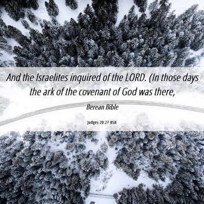 Picture 06 - Judges 20:27 BSB - And the Israelites inquired of the LORD. (In - Bible Verse Picture