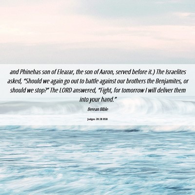 Picture 06 - Judges 20:28 BSB - and Phinehas son of Eleazar, the son of Aaron, - Bible Verse Picture