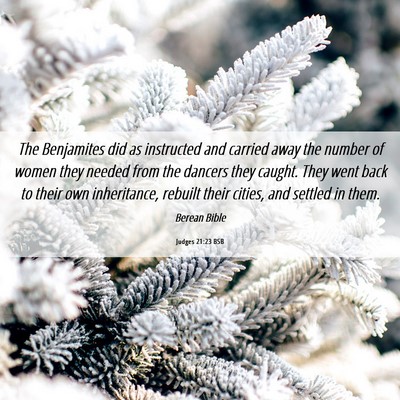 Picture 06 - Judges 21:23 BSB - The Benjamites did as instructed and carried away - Bible Verse Picture