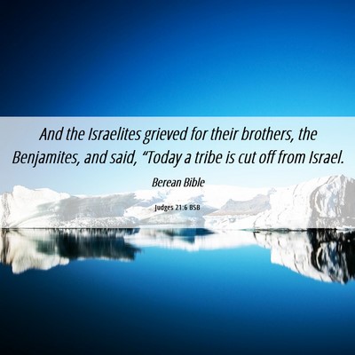 Picture 06 - Judges 21:6 BSB - And the Israelites grieved for their brothers, - Bible Verse Picture
