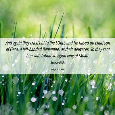 Picture 06 - Judges 3:15 BSB - And again they cried out to the LORD, and He - Bible Verse Picture