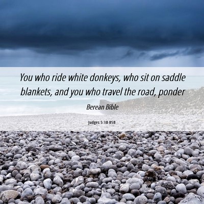 Picture 06 - Judges 5:10 BSB - You who ride white donkeys, who sit on saddle - Bible Verse Picture
