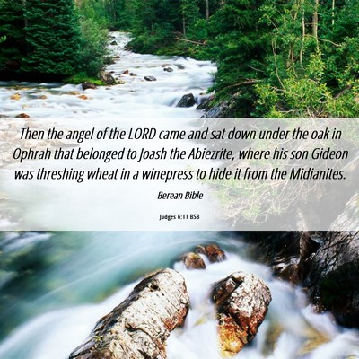 Picture 06 - Judges 6:11 BSB - Then the angel of the LORD came and sat down - Bible Verse Picture