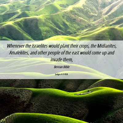 Picture 06 - Judges 6:3 BSB - Whenever the Israelites would plant their crops, - Bible Verse Picture
