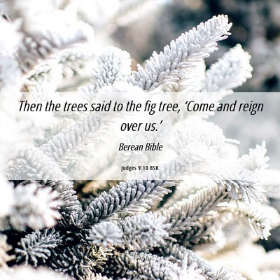Picture 06 - Judges 9:10 BSB - Then the trees said to the fig tree, ‘Come and - Bible Verse Picture