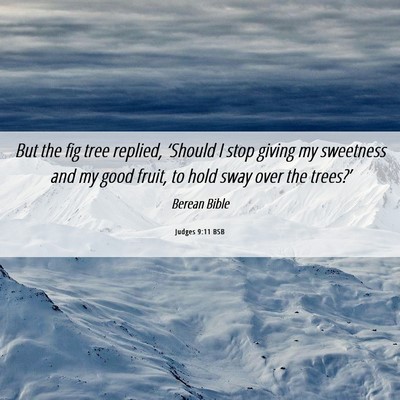 Picture 06 - Judges 9:11 BSB - But the fig tree replied, ‘Should I stop giving - Bible Verse Picture