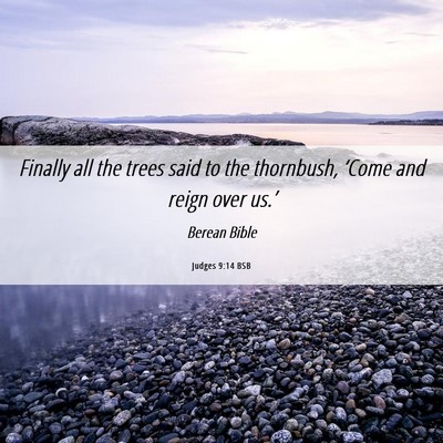 Picture 06 - Judges 9:14 BSB - Finally all the trees said to the thornbush, - Bible Verse Picture