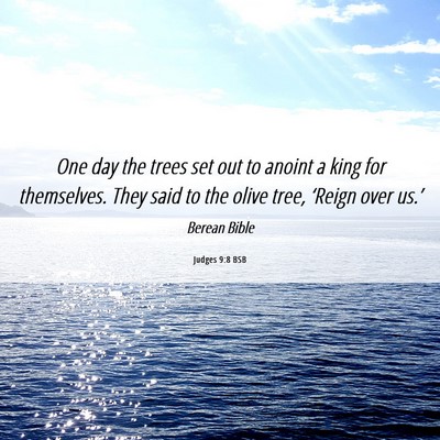 Picture 06 - Judges 9:8 BSB - One day the trees set out to anoint a king for - Bible Verse Picture