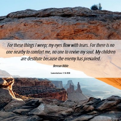 Picture 06 - Lamentations 1:16 BSB - For these things I weep; my eyes flow with tears. - Bible Verse Picture
