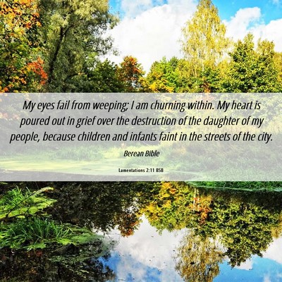 Picture 06 - Lamentations 2:11 BSB - My eyes fail from weeping; I am churning within. - Bible Verse Picture
