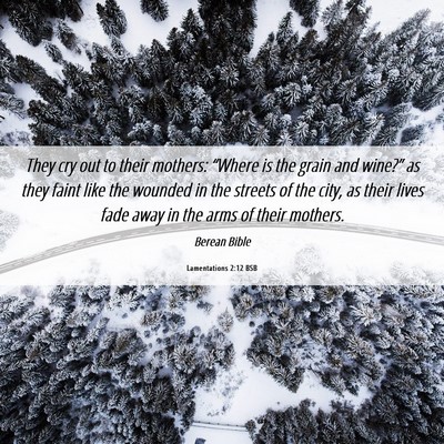 Picture 06 - Lamentations 2:12 BSB - They cry out to their mothers: “Where is the - Bible Verse Picture