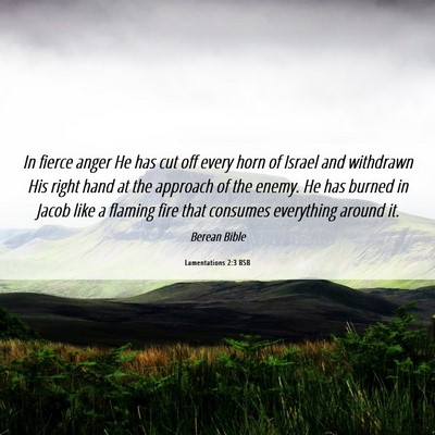 Picture 06 - Lamentations 2:3 BSB - In fierce anger He has cut off every horn of - Bible Verse Picture