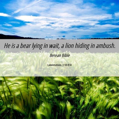Picture 06 - Lamentations 3:10 BSB - He is a bear lying in wait, a lion hiding in - Bible Verse Picture