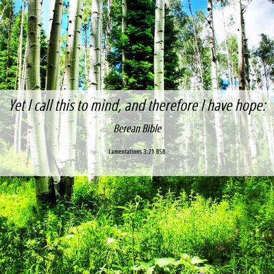 Picture 06 - Lamentations 3:21 BSB - Yet I call this to mind, and therefore I have - Bible Verse Picture