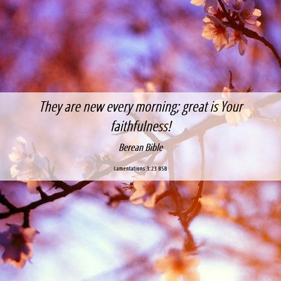 Picture 06 - Lamentations 3:23 BSB - They are new every morning; great is Your - Bible Verse Picture