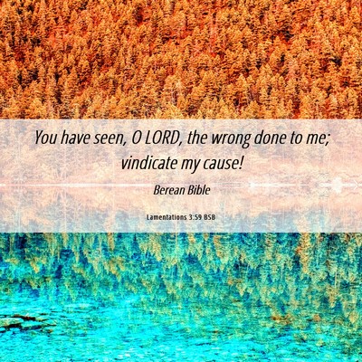 Picture 06 - Lamentations 3:59 BSB - You have seen, O LORD, the wrong done to me; - Bible Verse Picture