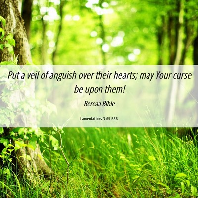 Picture 06 - Lamentations 3:65 BSB - Put a veil of anguish over their hearts; may Your - Bible Verse Picture
