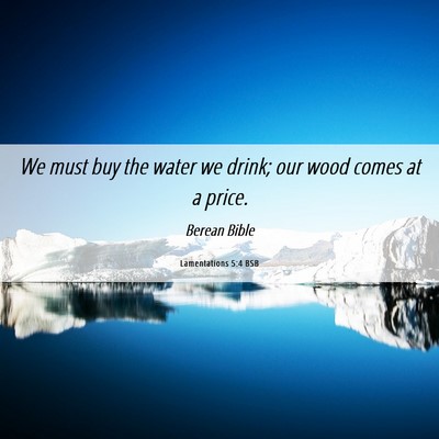 Picture 06 - Lamentations 5:4 BSB - We must buy the water we drink; our wood comes at - Bible Verse Picture