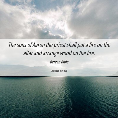 Picture 06 - Leviticus 1:7 BSB - The sons of Aaron the priest shall put a fire on - Bible Verse Picture
