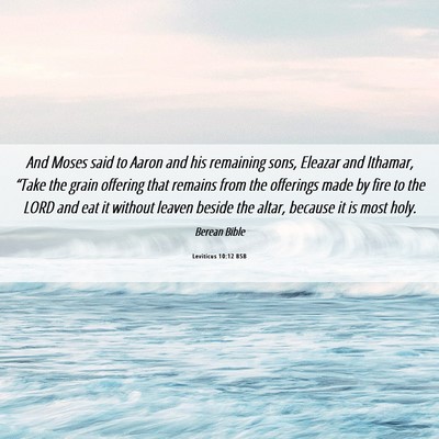 Picture 06 - Leviticus 10:12 BSB - And Moses said to Aaron and his remaining sons, - Bible Verse Picture