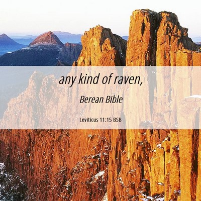 Picture 06 - Leviticus 11:15 BSB - any kind of - Bible Verse Picture