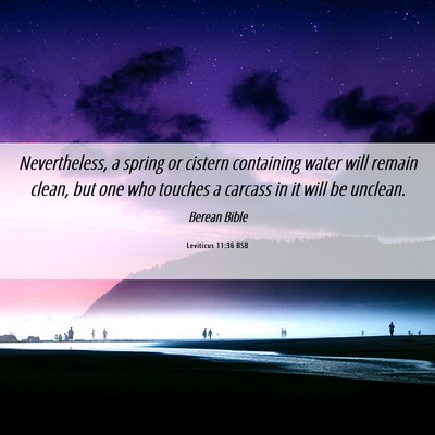 Picture 06 - Leviticus 11:36 BSB - Nevertheless, a spring or cistern containing - Bible Verse Picture