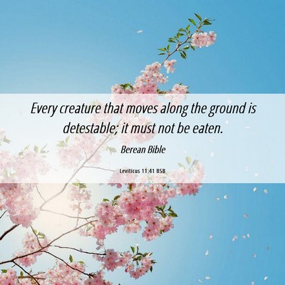 Picture 06 - Leviticus 11:41 BSB - Every creature that moves along the ground is - Bible Verse Picture