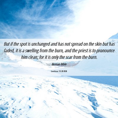 Picture 06 - Leviticus 13:28 BSB - But if the spot is unchanged and has not spread - Bible Verse Picture
