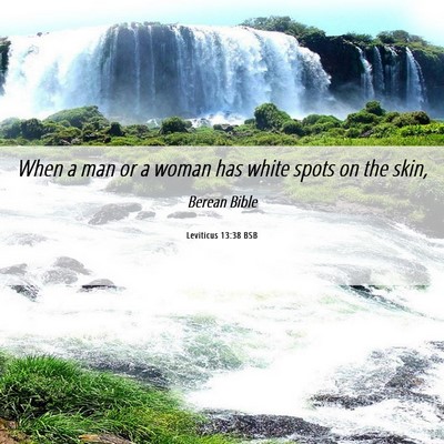 Picture 06 - Leviticus 13:38 BSB - When a man or a woman has white spots on the - Bible Verse Picture