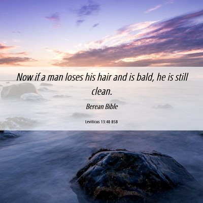 Picture 06 - Leviticus 13:40 BSB - Now if a man loses his hair and is bald, he is - Bible Verse Picture