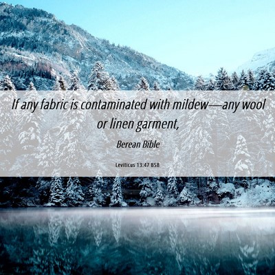 Picture 06 - Leviticus 13:47 BSB - If any fabric is contaminated with mildew—any - Bible Verse Picture