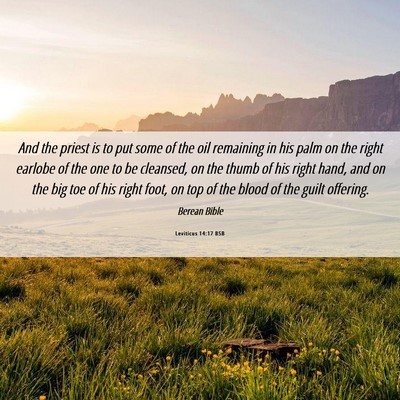Picture 06 - Leviticus 14:17 BSB - And the priest is to put some of the oil - Bible Verse Picture