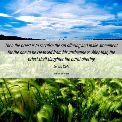 Picture 06 - Leviticus 14:19 BSB - Then the priest is to sacrifice the sin offering - Bible Verse Picture
