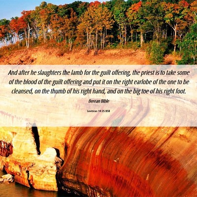Picture 06 - Leviticus 14:25 BSB - And after he slaughters the lamb for the guilt - Bible Verse Picture