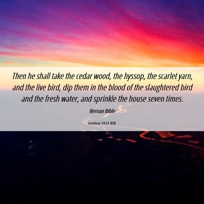 Picture 06 - Leviticus 14:51 BSB - Then he shall take the cedar wood, the hyssop, - Bible Verse Picture